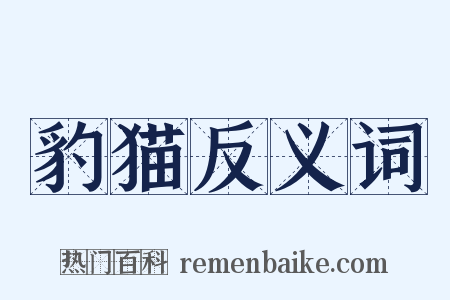 豹猫反义词是什么意思的图片